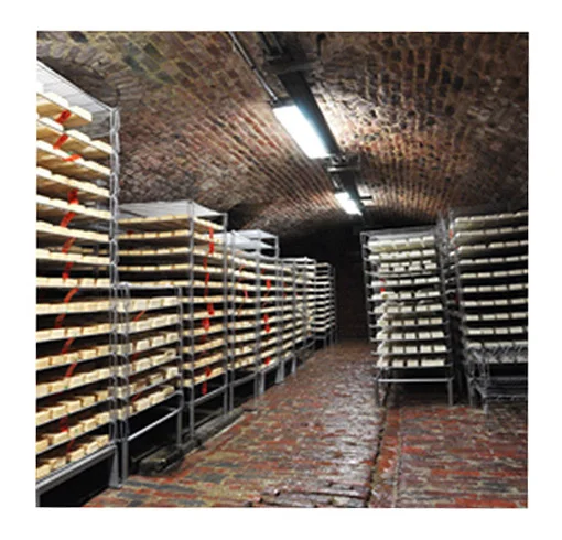 <span>La Ferme du Pont de Sains </span>