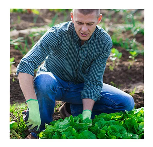 <span>Biocambrésis</span>