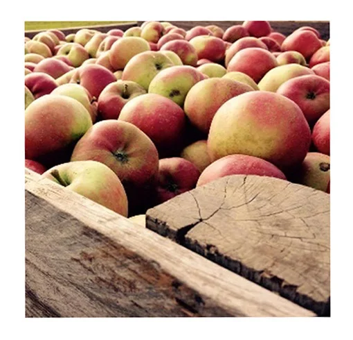 <span>Les Vergers de la Couturelle</span>