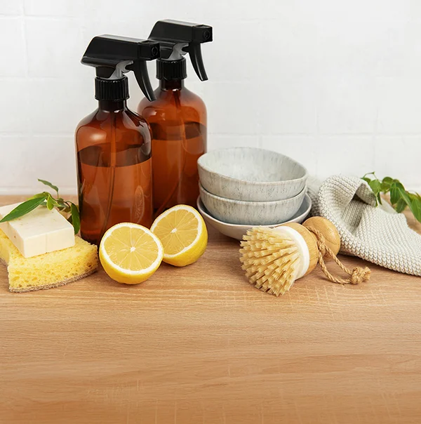 Entretien de la maison